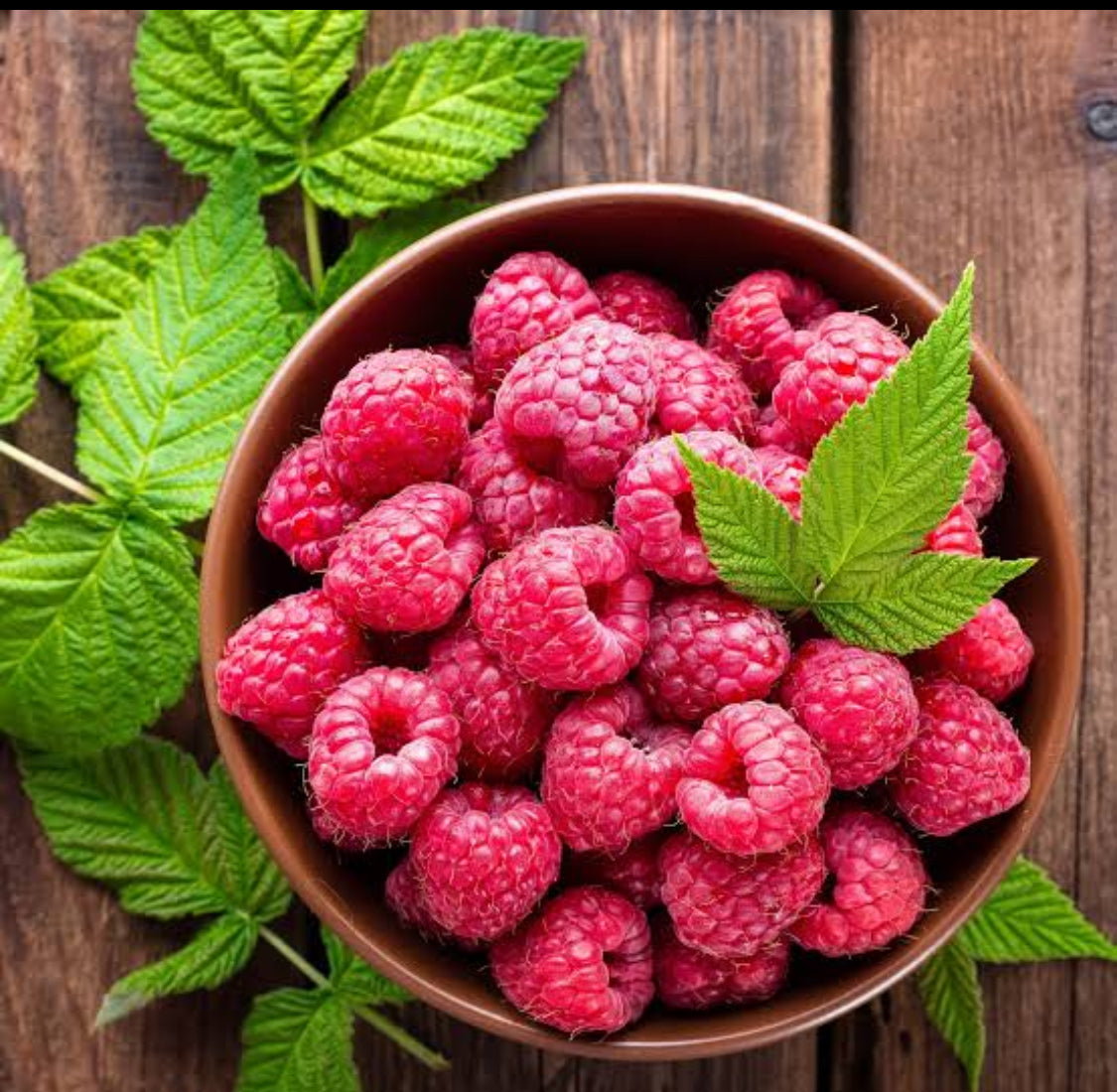 Glow Industries: Bronze Boost Spray (Single Nasal)